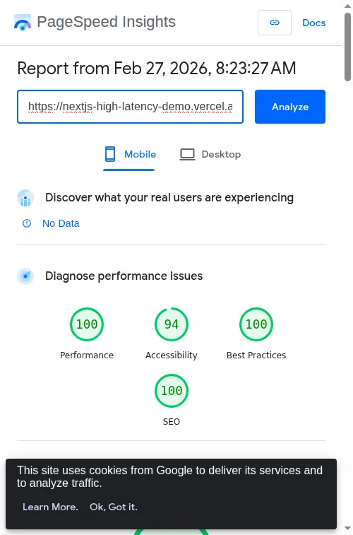 PageSpeed Insights audit showing 100/100 Performance score